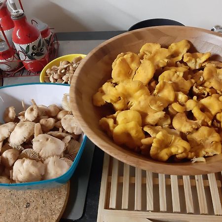 Gite Le Petit Nice Pradelles المظهر الخارجي الصورة