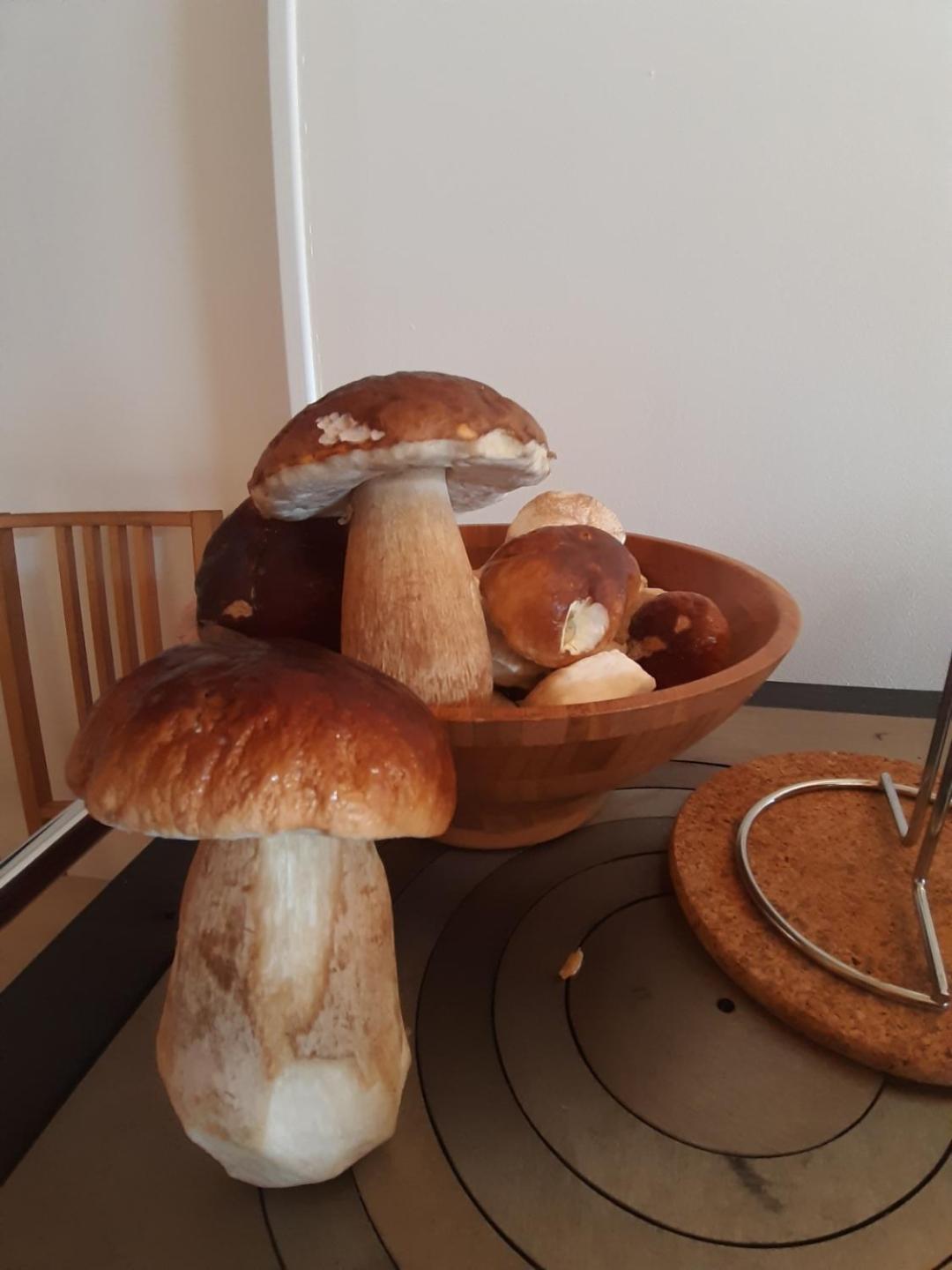 Gite Le Petit Nice Pradelles المظهر الخارجي الصورة